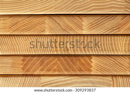 Wooden texture background. Close-up nature wallpaper.