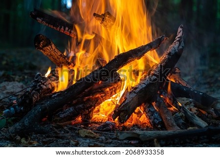 Burning fire. The bonfire burns in the forest. Texture of burning fire. Bonfire for cooking in the forest. Burning dry branches. Tourist fire in the forest. Texture of burning branches. 商業照片 © 