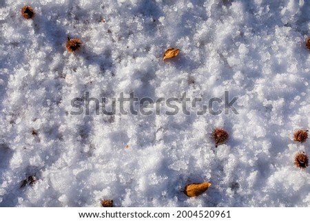 frozen ground texture