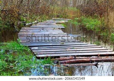 Floating wooden bridge in the forest, flood time. Selective focus. High quality photo Stock foto © 