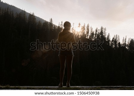 Similar – Image, Stock Photo Unrecognizable hiker observing wild valley from rocky cliff