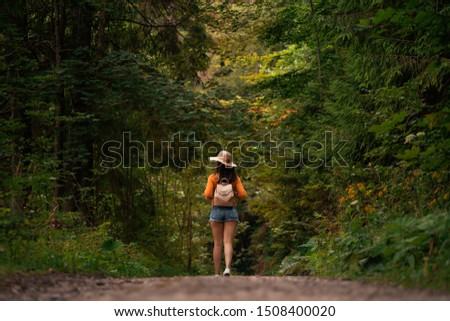 Similar – Image, Stock Photo Unrecognizable hiker observing wild valley from rocky cliff