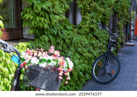 Similar – Foto Bild Fahrrad auf dunkler Straße geparkt