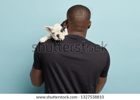 Similar – Image, Stock Photo two French bulldogs going downstairs on walk