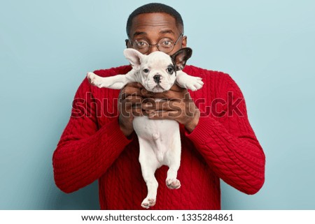 Indoor shot of dark skinned guy carries small funny puppy in front, covers face with dog, presents pet to girlfriend, likes animals, defends its rights, wears red jumper, stand over blue background
