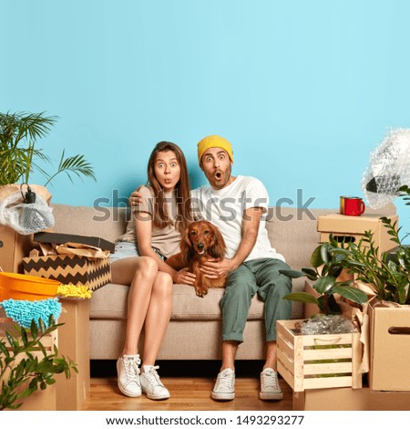 Puzzled family couple sit together near dog on couch, rent new flat, move in apartment, gazes with shock, have day of relocation, surrounded with personal stuff in boxes. New home and moving.