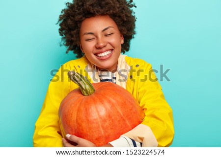 Photo of pleased dark skinned woman embraces pumpkin, has toothy smile, wears yellow raincoat, feels glad and relaxed, prepares for Halloween party, poses over blue background. Female holds vegetable
