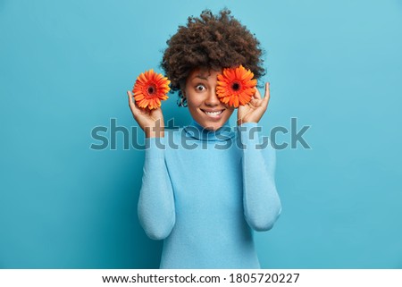 Simple happiness. Joyous young woman holds two orange gerberas, covers eyes and bites lips, looks in delight and satisfaction, wears poloneck, isolated on blue background. Lady with flowers.