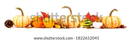 Autumn border of assorted pumpkins, gourds, nuts and leaves. Side view isolated on a white background.