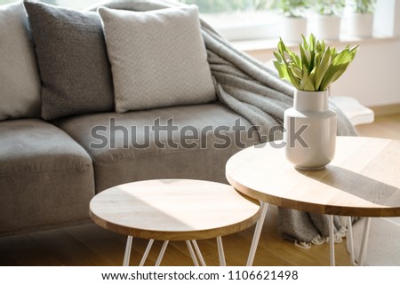 Close-up de tulipas na mesa redonda de madeira no interior da sala de estar cinza natural com um sofá