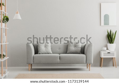 Poster above white cabinet with plant next to grey sofa in simple living room interior. Real photo Foto stock © 