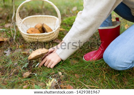 Similar – Image, Stock Photo Crop woman cutting mushroom over bowl