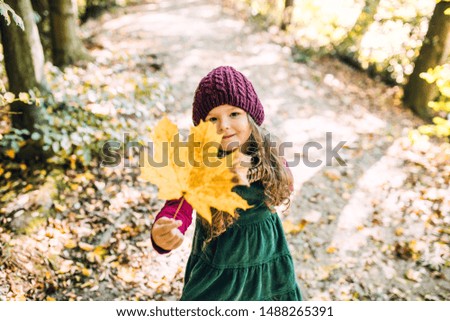 A low angle view of a small toddler girl standing in forest in autumn nature.