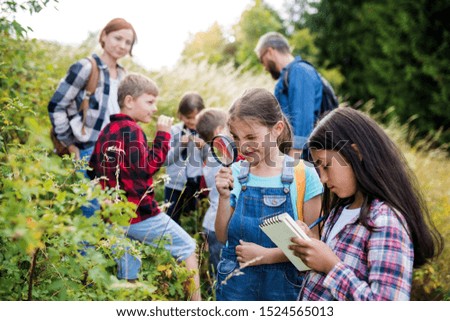 Grupo de crianças em idade escolar com professor em viagem de campo na natureza, aprendendo ciências.
