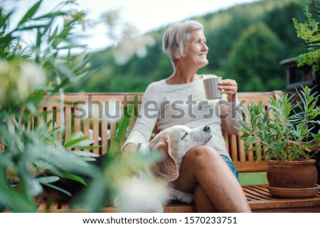 A senior woman with a dog and coffee sitting outdoors on a terrace in summer.
