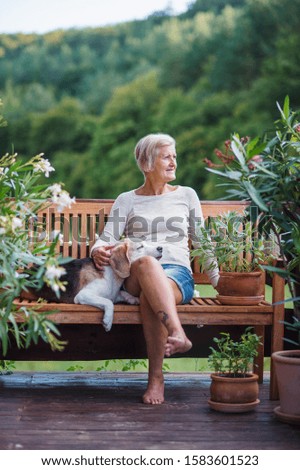 A senior woman with a dog sitting outdoors on a terrace in summer.