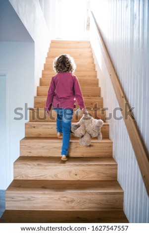 Similar – Image, Stock Photo Rear view child walking with bucket through fields