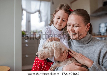 Small girl with senior grandmother playing with dog indoors at home.