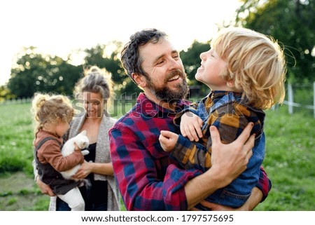 Similar – Image, Stock Photo Allotment garden with cats