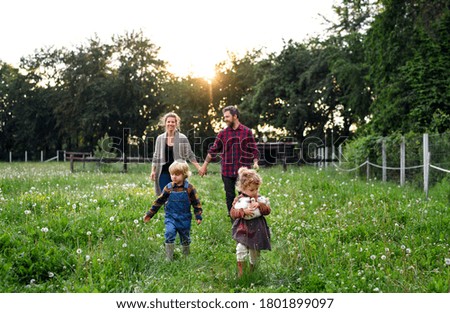 Image, Stock Photo Allotment garden with cats