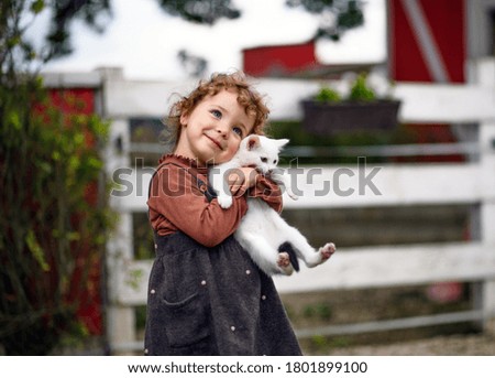 Similar – Image, Stock Photo Allotment garden with cats