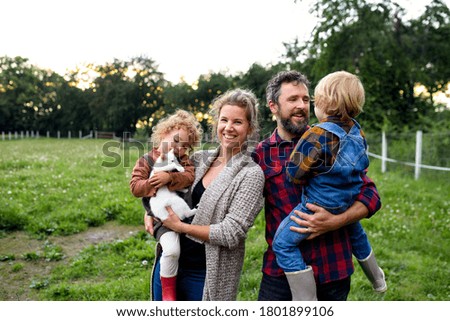 Similar – Image, Stock Photo Allotment garden with cats