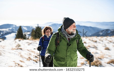 Similar – Image, Stock Photo Hiker walks in winter sunshine through the Heckengäu near Weissach