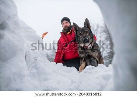 Similar – Foto Bild Winterbetrieb Wald Schnee