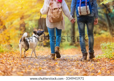 Hermosa pareja joven en un paseo en el bosque de otoño