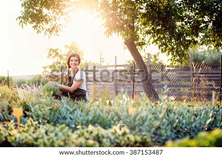 Image, Stock Photo Smiling gardener with spring flowers at table