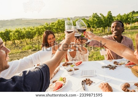 Felices amigos adultos divirtiéndose bebiendo vino tinto y comiendo junto con viñedos en segundo plano - Multiracios haciendo aperitivo en verano en el complejo rural - Enfoque principal en las manos