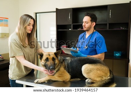 Sad woman petting a german shepherd lying on the examination table at the veterinarian's office. Hispanic vet explaining the sickness and symptoms of on old dog to her owner at the vet clinic