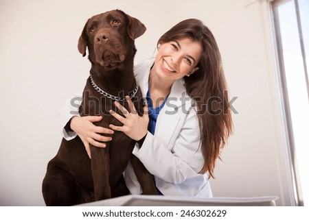 Portrait of a beautiful veterinarian hugging a big brown labrador and smiling
