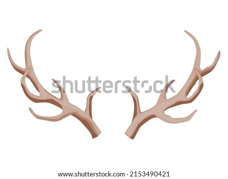 Horns. Hunting trophy. Vector horned wild animal. Pairs of antlers. Vector illustration of hunted animal, wildlife decoration concept