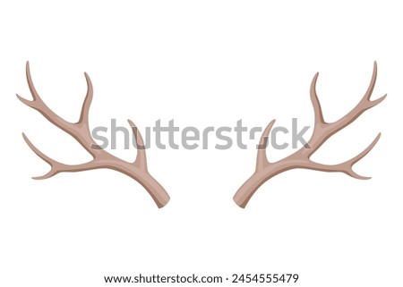 Horns. Hunting trophy. Vector horned wild animal. Pairs of antlers. Vector illustration of hunted animal, wildlife decoration concept