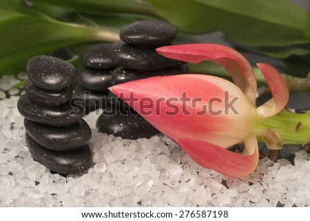 Spa still life, pebbles and flowers - for the resort spa or beauty salon
