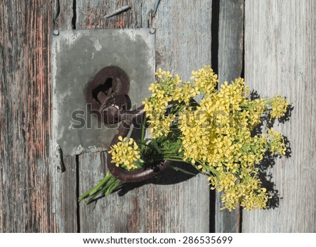Old door with a bouquet of yellow flowers...Old wooden door.