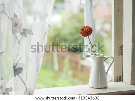 White pitcher stands at the window. Red flower in a white pitcher. Window in a country house.