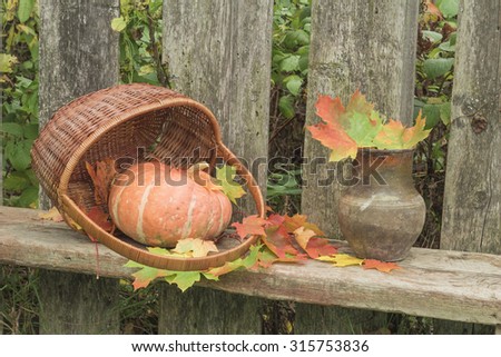 Pumpkin and jug are on the garden bench. Autumn still life in the garden. Maple leaves lie on the bench.
