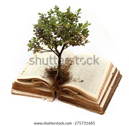 Small seedling growing out of book