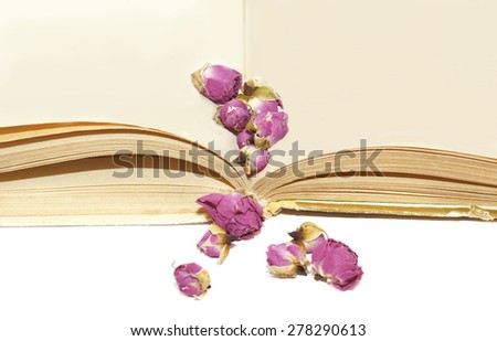 Dry roses on old book page spreads. Place for text