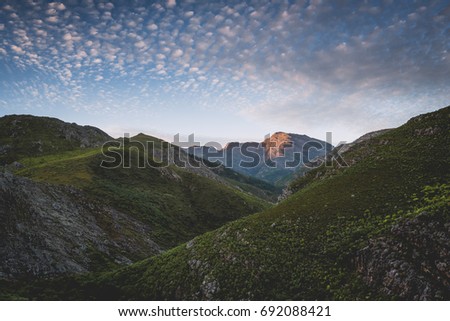 Vegetation covered mountains at sunset Stock fotó © 
