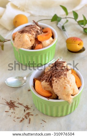 Homemade apricot ice cream with chocolate chips, vertical
