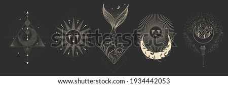 Vector illustration set of moon phases. Different stages of moonlight activity in vintage engraving style. branches of plants and flowers. sacred esoteric geometry