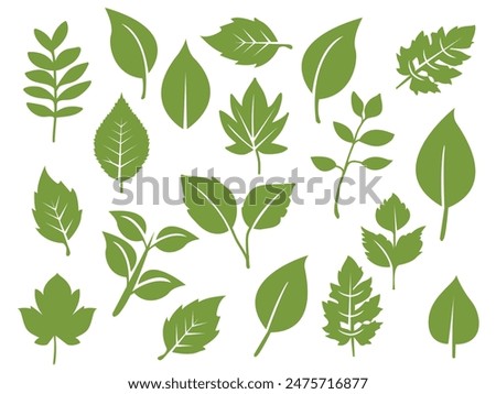 A collection of flat green leaves, beautifully illustrated against a white background. Ideal for nature-themed designs and botanical projects.