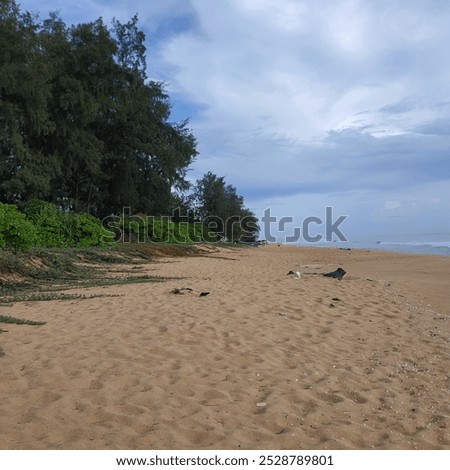 Similar – Foto Bild Strandgeflüster