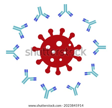 The neutralizing antibodies surround SARS-CoV-2 virus or COVID-19  