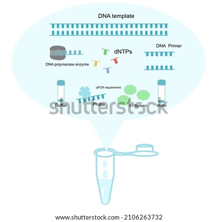 The materials ( DNA template, DNA polymerase enzyme, dNTPs, DNA Primer, buffer, Probe or SYBGreen and water) were mixed in one tube for polymerase chain reaction (PCR) or real-time PCR reaction.