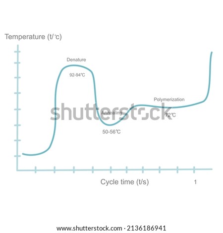 The correlation between the temperature (C) and cycle time (s) of polymerase chain reaction (PCR) step that represented the blue line graph. Stok fotoğraf © 