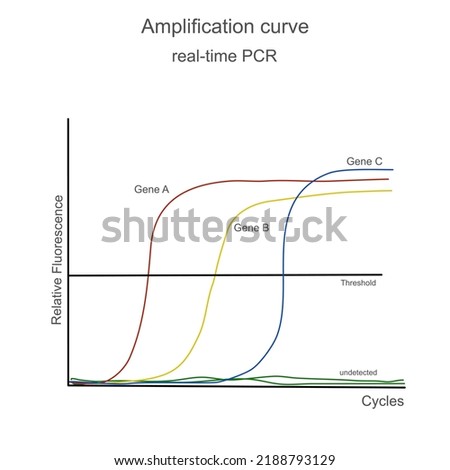 The amplification curve of nucleic acid detection : target Gene A B C with real -time PCR or qPCR Stok fotoğraf © 